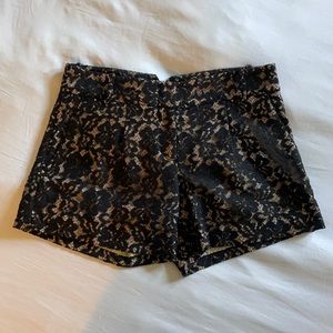 BCBGMAXAZRIAGROUP Black Lace Shorts Size 2